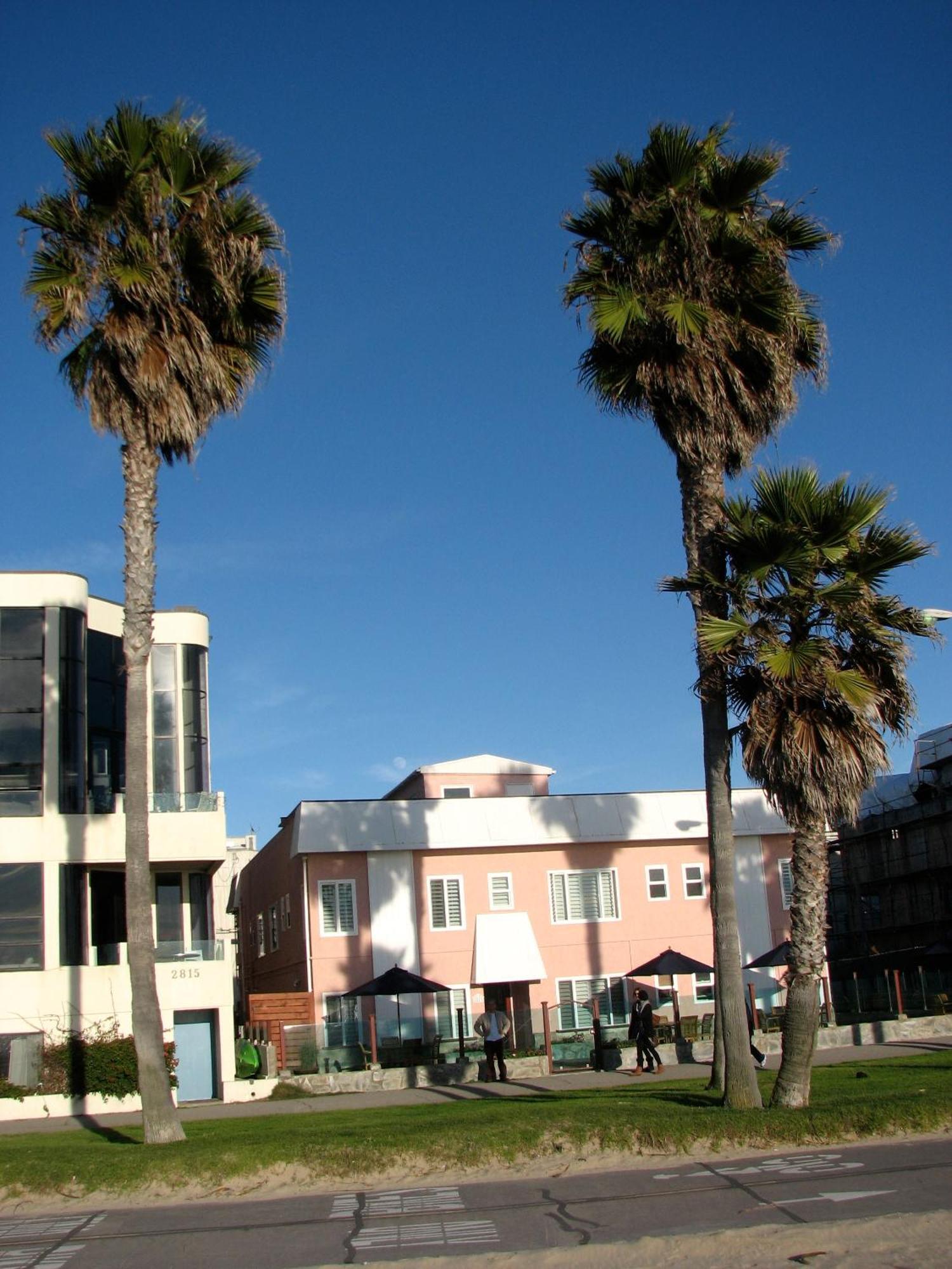 Venice On The Beach Hotel Λος Άντζελες Εξωτερικό φωτογραφία